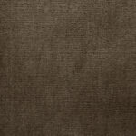 Sahara: Camel - 100% Solution Dyed Polyamide Carpet